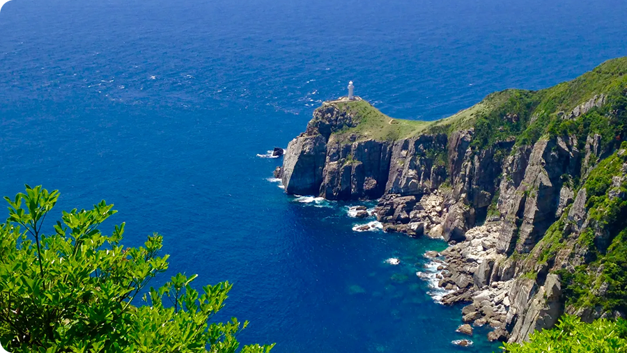 美しい海岸線
