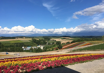 国内旅行の風景