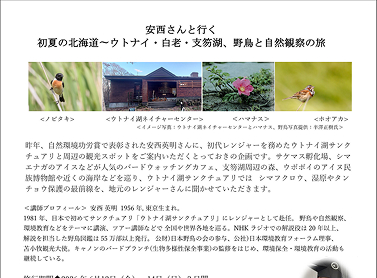 巡礼旅行パンフレット